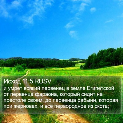 Исход 11:5 RUSV Bible Verse Image