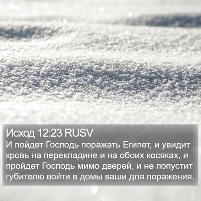 Исход 12:23 RUSV Bible Verse Image