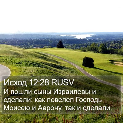 Исход 12:28 RUSV Bible Verse Image
