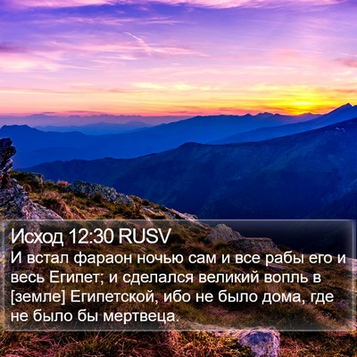 Исход 12:30 RUSV Bible Verse Image