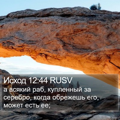 Исход 12:44 RUSV Bible Verse Image