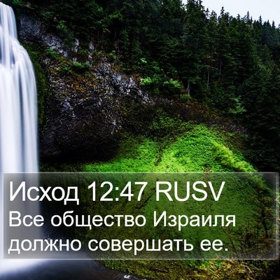 Исход 12:47 RUSV Bible Verse Image