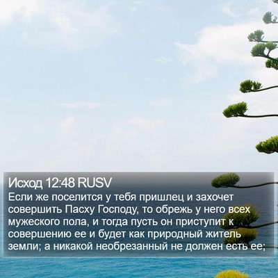 Исход 12:48 RUSV Bible Verse Image