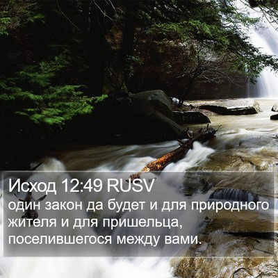 Исход 12:49 RUSV Bible Verse Image