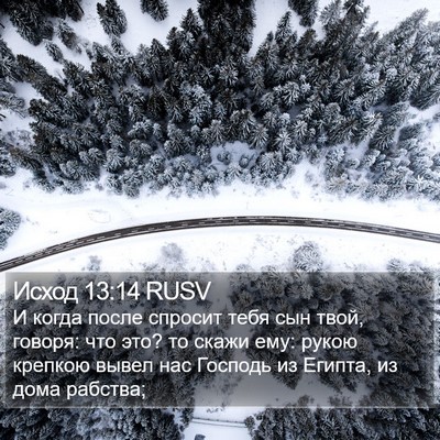 Исход 13:14 RUSV Bible Verse Image