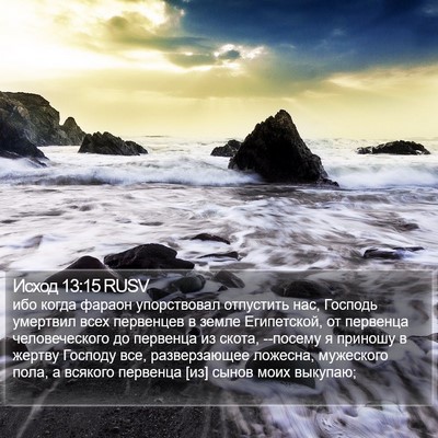 Исход 13:15 RUSV Bible Verse Image