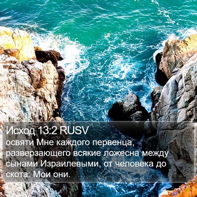 Исход 13:2 RUSV Bible Verse Image