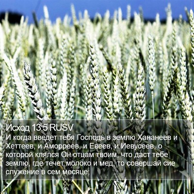 Исход 13:5 RUSV Bible Verse Image