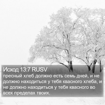 Исход 13:7 RUSV Bible Verse Image