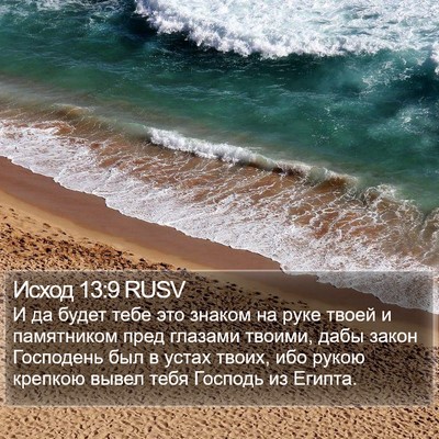 Исход 13:9 RUSV Bible Verse Image
