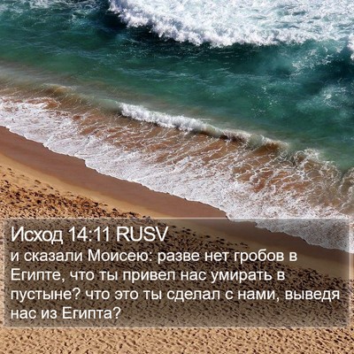 Исход 14:11 RUSV Bible Verse Image