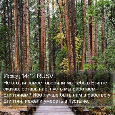 Исход 14:12 RUSV Bible Verse Image