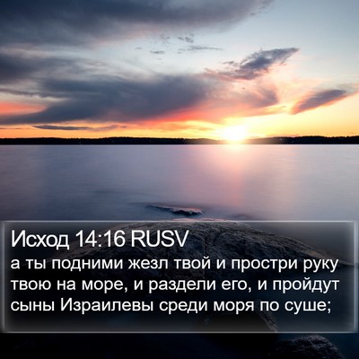 Исход 14:16 RUSV Bible Verse Image