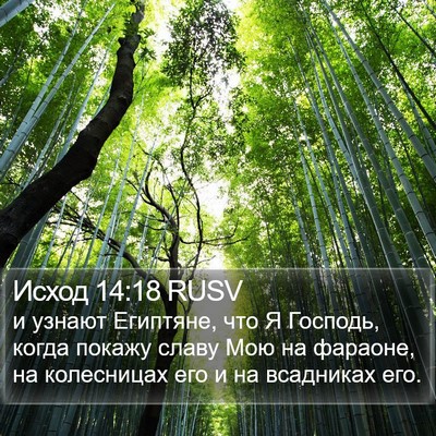 Исход 14:18 RUSV Bible Verse Image