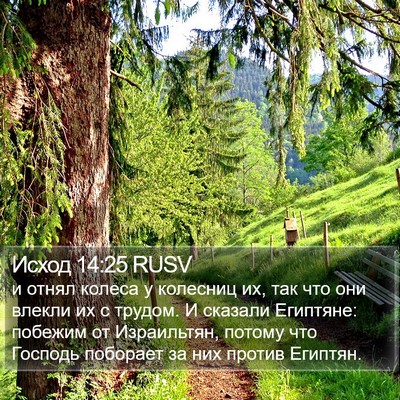Исход 14:25 RUSV Bible Verse Image
