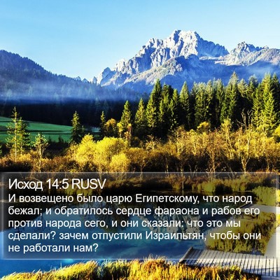 Исход 14:5 RUSV Bible Verse Image
