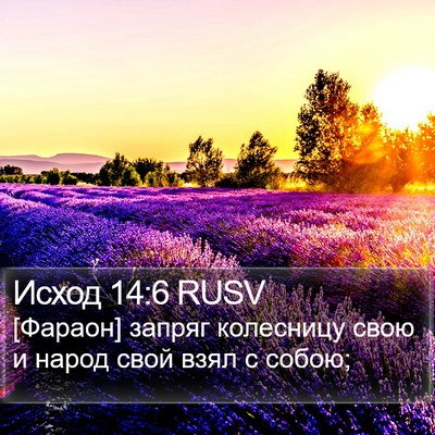 Исход 14:6 RUSV Bible Verse Image