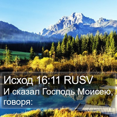 Исход 16:11 RUSV Bible Verse Image