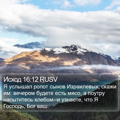 Исход 16:12 RUSV Bible Verse Image