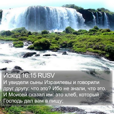 Исход 16:15 RUSV Bible Verse Image