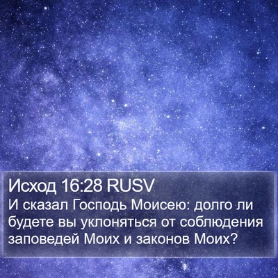 Исход 16:28 RUSV Bible Verse Image
