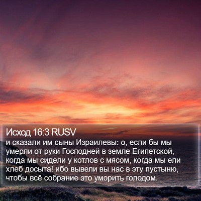 Исход 16:3 RUSV Bible Verse Image