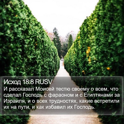 Исход 18:8 RUSV Bible Verse Image
