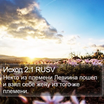 Исход 2:1 RUSV Bible Verse Image