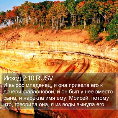 Исход 2:10 RUSV Bible Verse Image