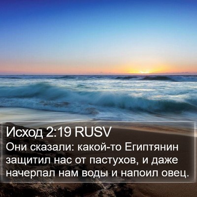 Исход 2:19 RUSV Bible Verse Image