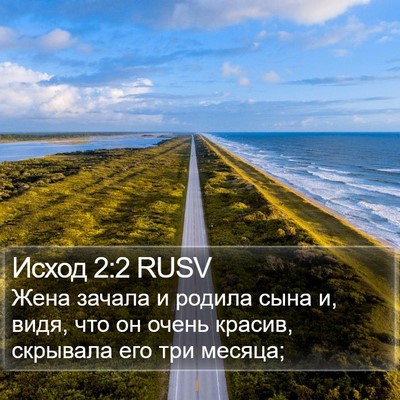 Исход 2:2 RUSV Bible Verse Image