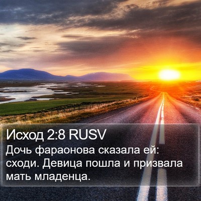 Исход 2:8 RUSV Bible Verse Image