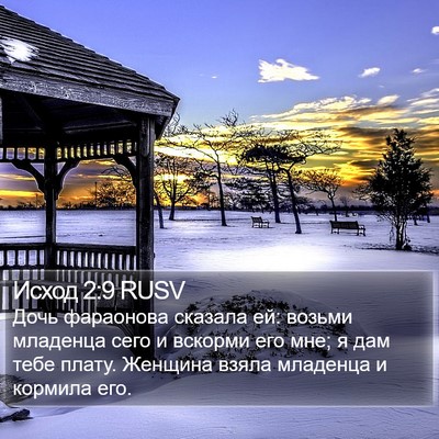 Исход 2:9 RUSV Bible Verse Image