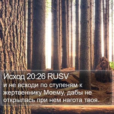 Исход 20:26 RUSV Bible Verse Image