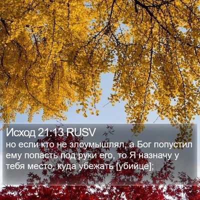 Исход 21:13 RUSV Bible Verse Image