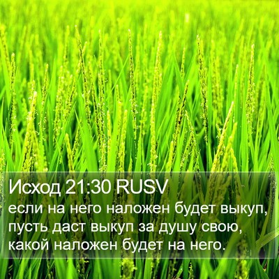 Исход 21:30 RUSV Bible Verse Image