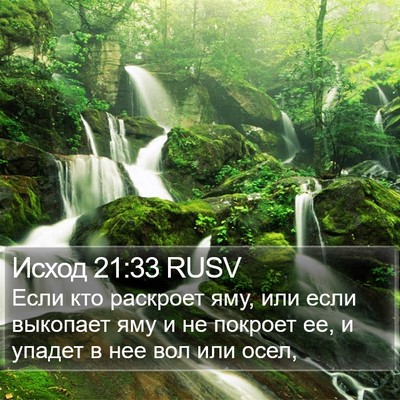 Исход 21:33 RUSV Bible Verse Image