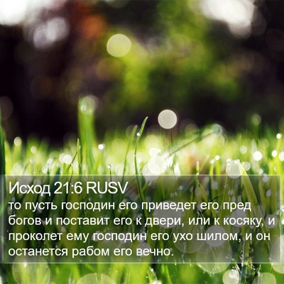 Исход 21:6 RUSV Bible Verse Image