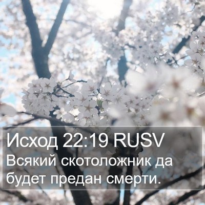 Исход 22:19 RUSV Bible Verse Image