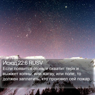 Исход 22:6 RUSV Bible Verse Image