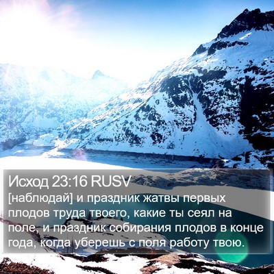 Исход 23:16 RUSV Bible Verse Image