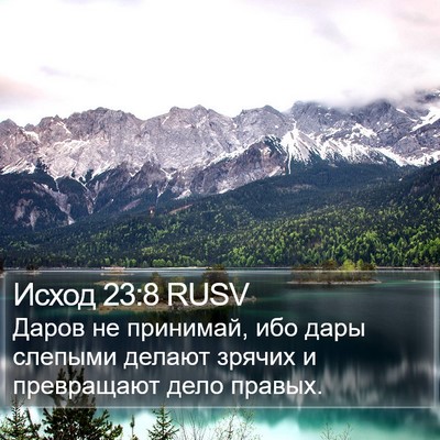 Исход 23:8 RUSV Bible Verse Image
