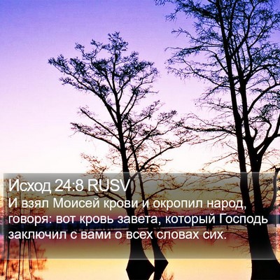 Исход 24:8 RUSV Bible Verse Image