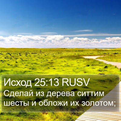 Исход 25:13 RUSV Bible Verse Image