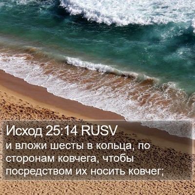 Исход 25:14 RUSV Bible Verse Image