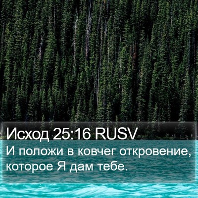 Исход 25:16 RUSV Bible Verse Image