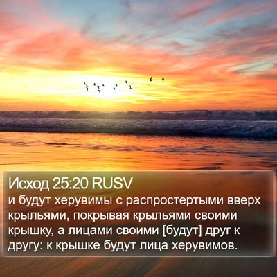 Исход 25:20 RUSV Bible Verse Image