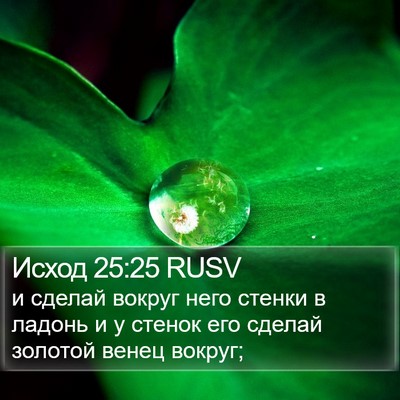 Исход 25:25 RUSV Bible Verse Image