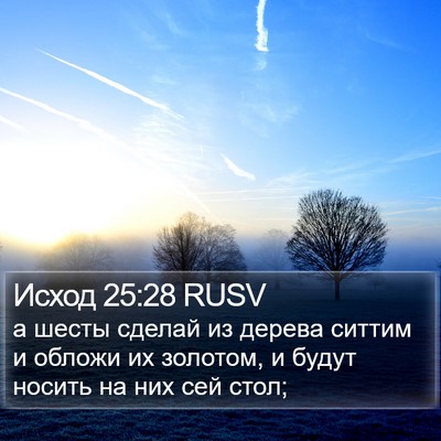 Исход 25:28 RUSV Bible Verse Image
