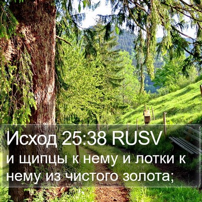 Исход 25:38 RUSV Bible Verse Image